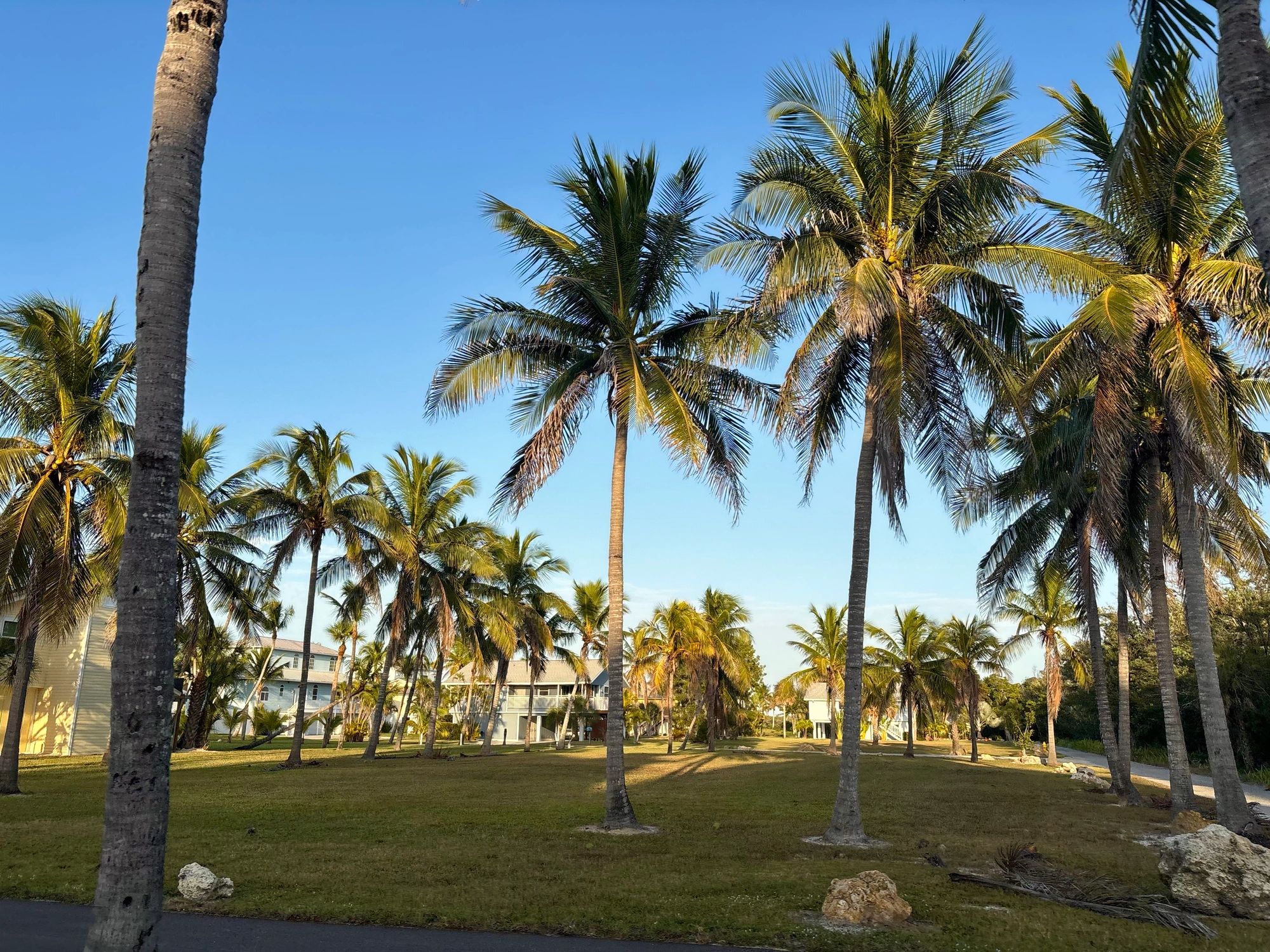 Student Housing in West Palm Beach